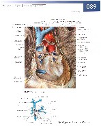Sobotta  Atlas of Human Anatomy  Trunk, Viscera,Lower Limb Volume2 2006, page 96